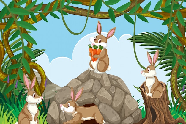 Rabbits in jungle scene