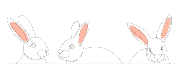 うさぎの似顔絵 連続線画