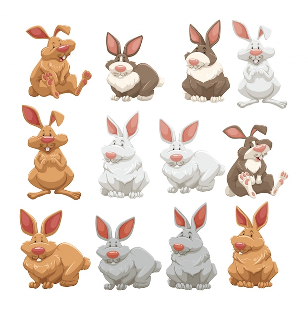 Vector rabbits with different fur colors