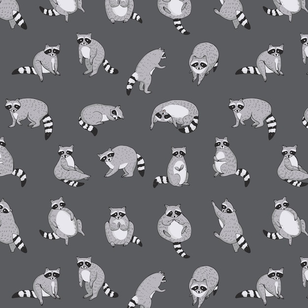 Raccoon animal vector illustrations set