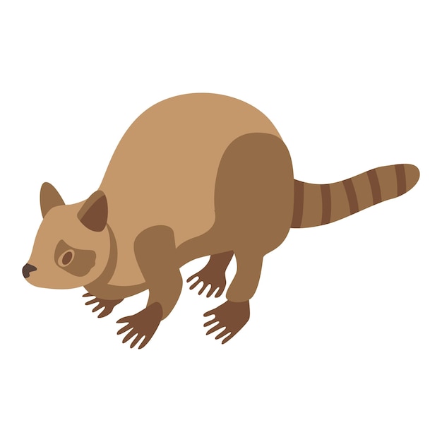 Raccoon beige icon Isometric of raccoon beige vector icon for web design isolated on white background