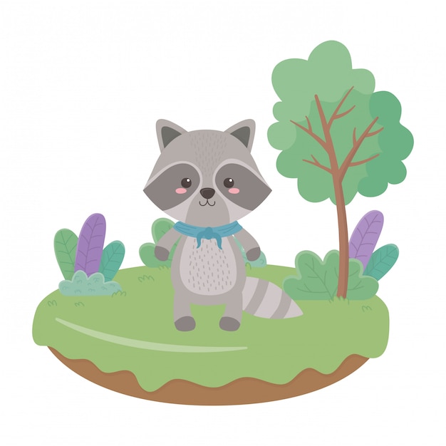 Raccoon cartoon  vector illustrator