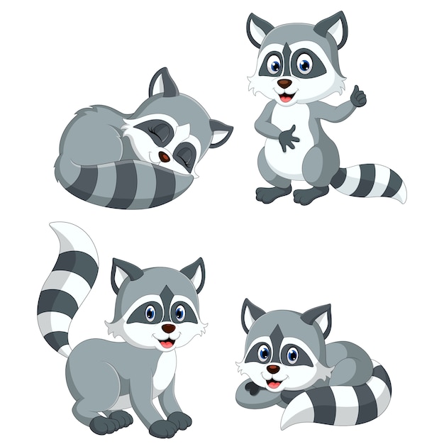 Raccoon cartoon