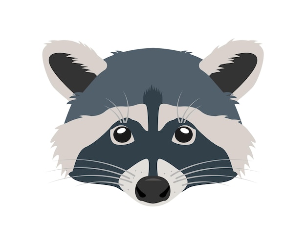 Raccoon face icon Wild mammal forest animal character mask Cute raccoon head