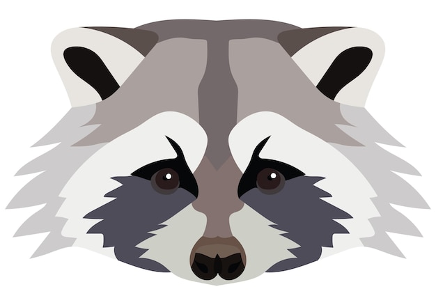 Vector raccoon head polygonal animal graphic design