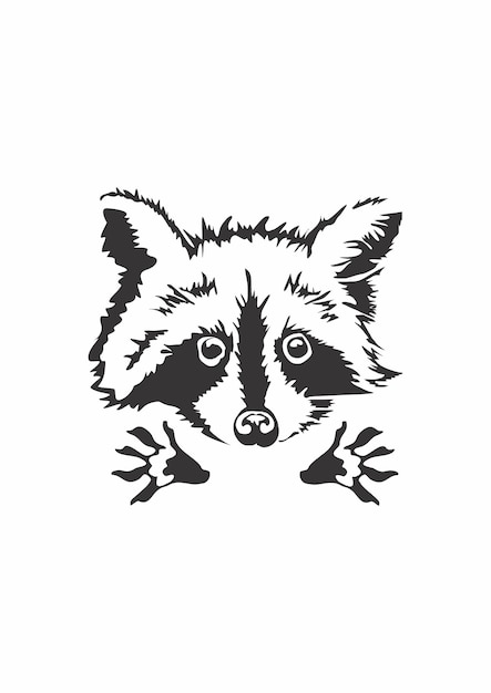 Vettore raccoon_vector_silhouette