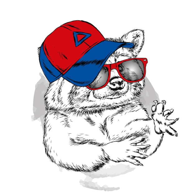 Raccoon with glasses and a cap