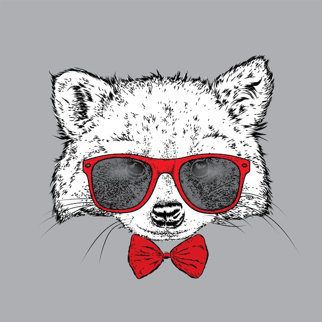 Raccoon with glasses