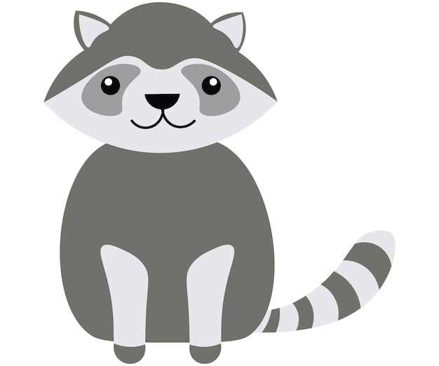 raccoon