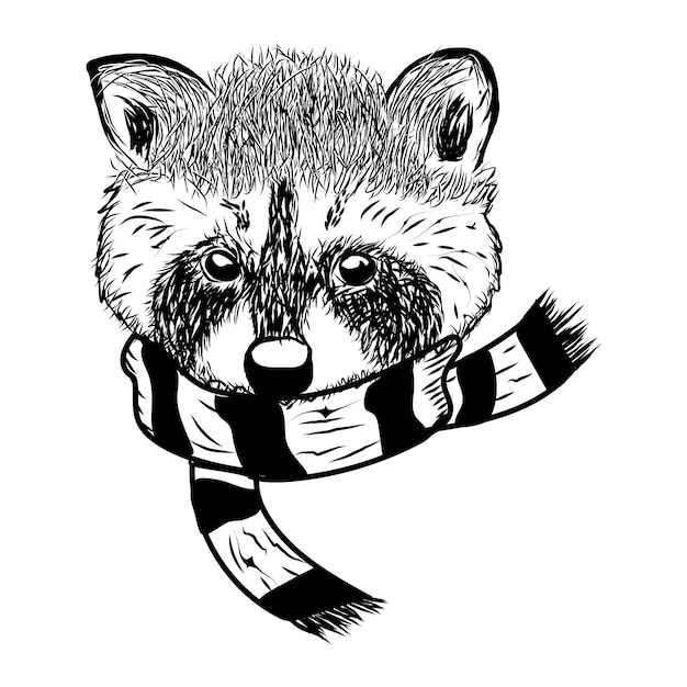 Vector raccoon