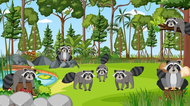 Raccoons in the forest scene