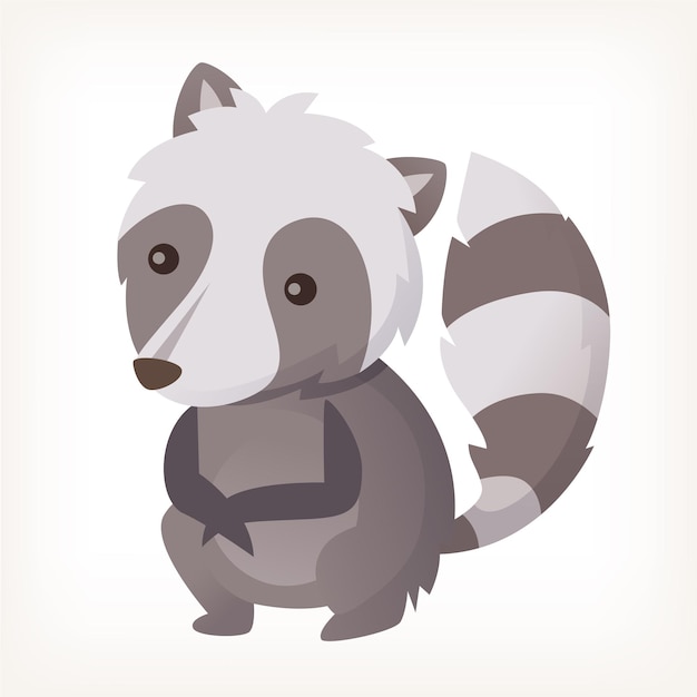 Racoon image isolated vector illustration