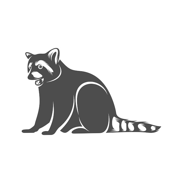 Racoon logo design vector Icon Symbol Template Illustration