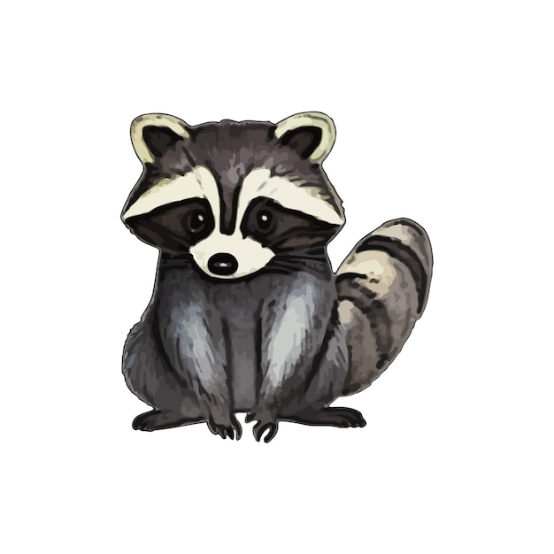 Racoon Watercolor vector Illustration