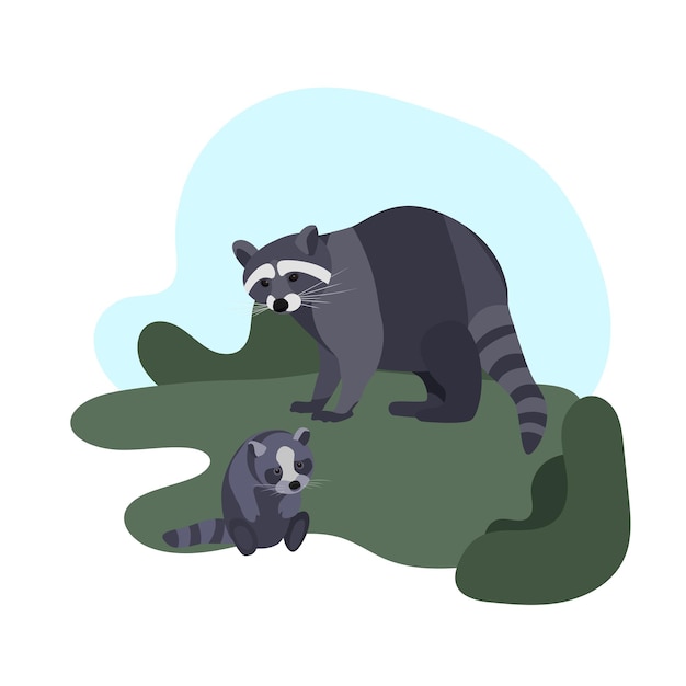 Vector racoon