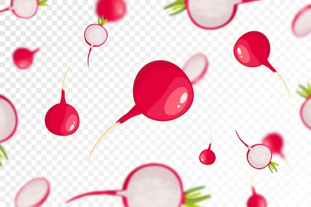 Radish background Flying or falling fresh radish isolated on transparent background Can be used for advertising packaging banner poster print Flat design Nature product Vector illustration