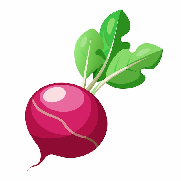 라디시 클리파트 (Radish Clipart) - 만화 스타일의 터 일러스트레이션