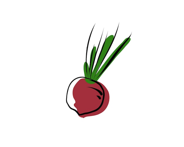 Radish