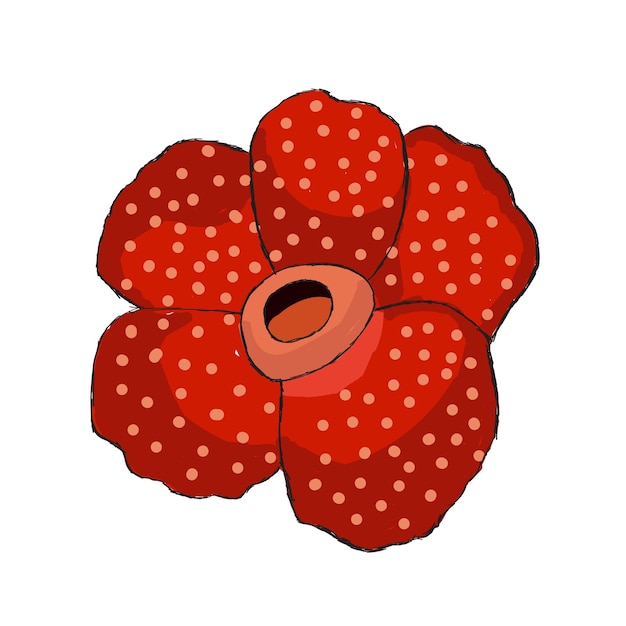 Rafflesia Arnoldii Vector