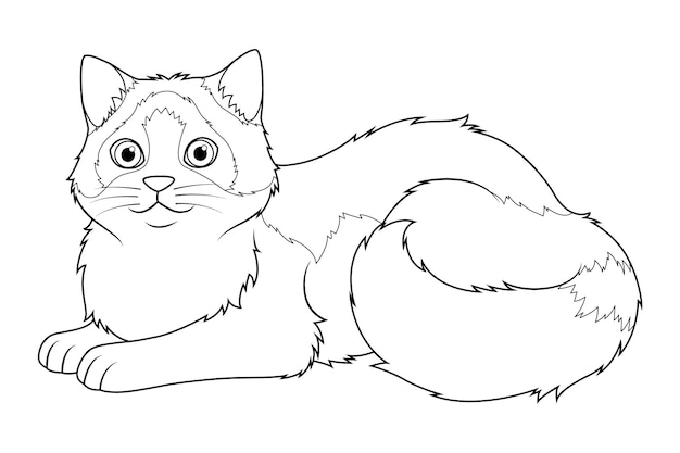 Vector ragdoll cat cartoon animal illustration bw