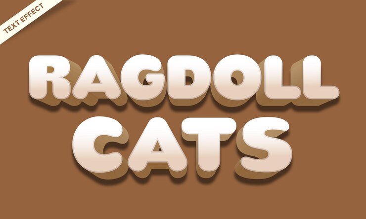 Vector ragdoll 고양이 색상 텍스트 효과