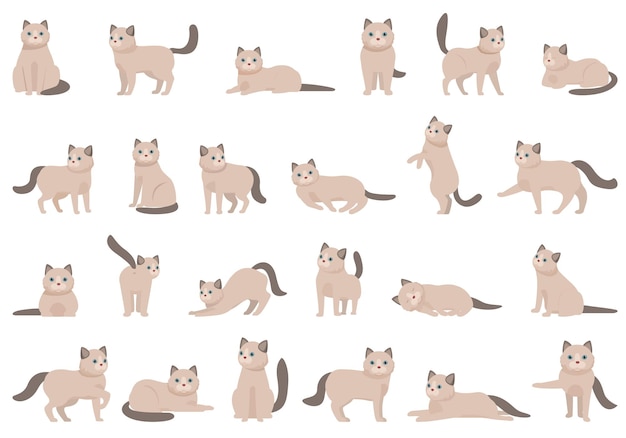 Ragdoll icons set cartoon vector Nature animal Cat breed