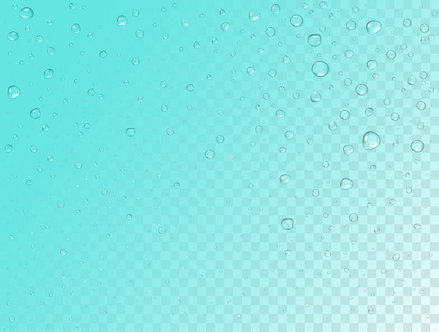 Rain pattern on transparent background. pure realistic water drops on window glass surface