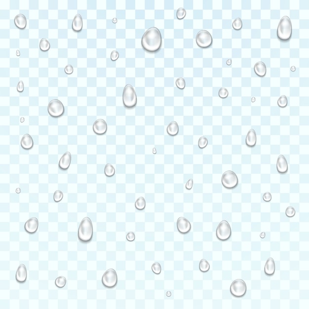 Vector rain or shower drops. pure water droplets, dew falls.