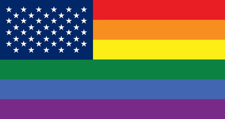 Vector rainbow america lgbt pride flag vector image