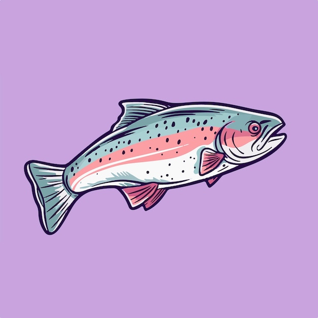 Vector a rainbow trout fish is on a purple background.