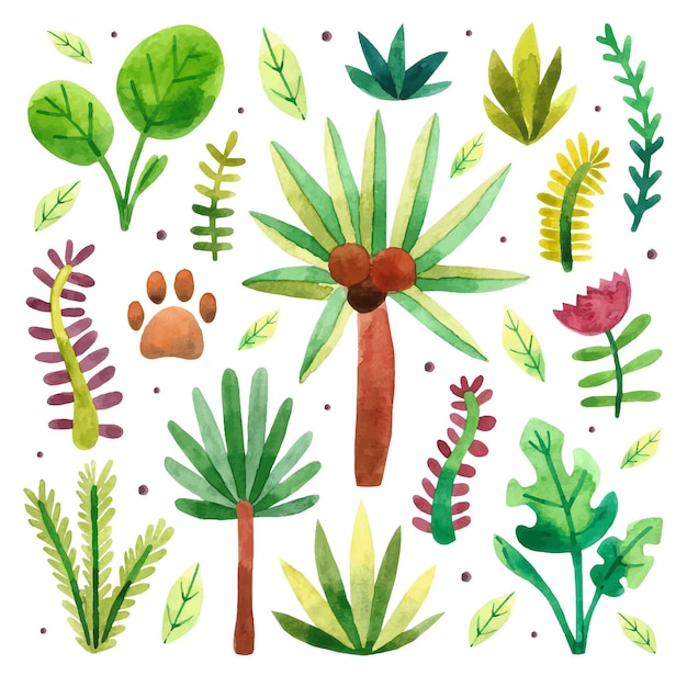 Vector rainforest jungles tropical plant tree palm bush herbs flower monstera watercolor