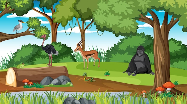 Rainforest scene with different wild animals