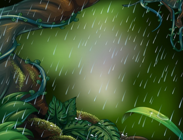 Vector raining scene in the deep forest