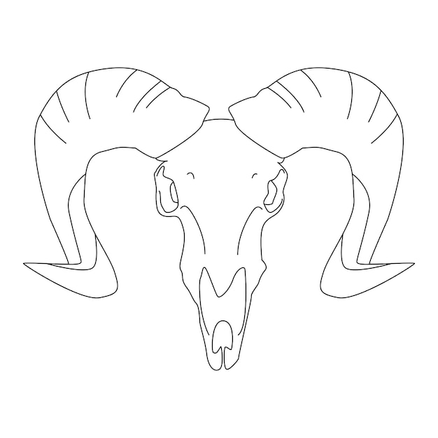 Ram Skull Line Drawing