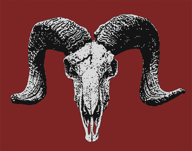 Vector a ram skull with large horns is shown on a red background.