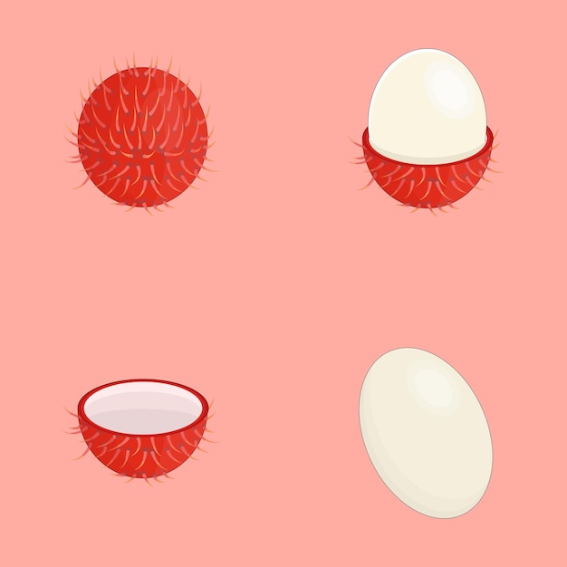 Vector rambutan set