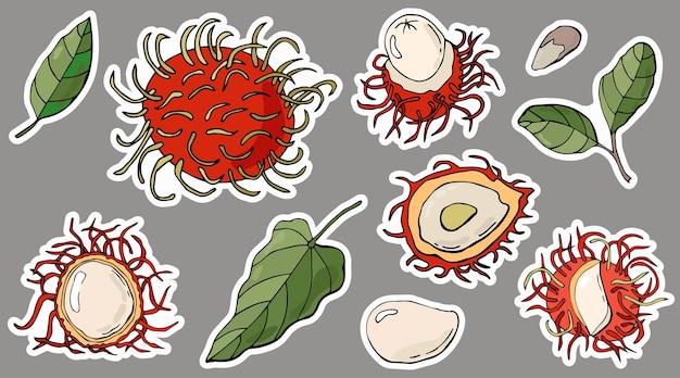 Rambutan stickers set Cartoon style