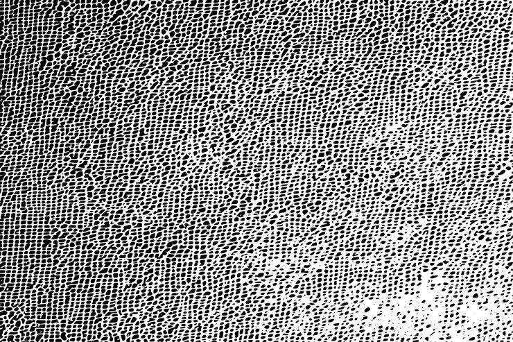 Vector random black and white texture vector illustration overlay monochrome grunge background texture
