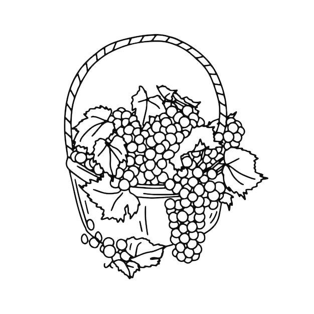 Вектор Изнасилование урожай наброски каракули рисунок нарисовать значок корзина с виноградом векторная иллюстрация