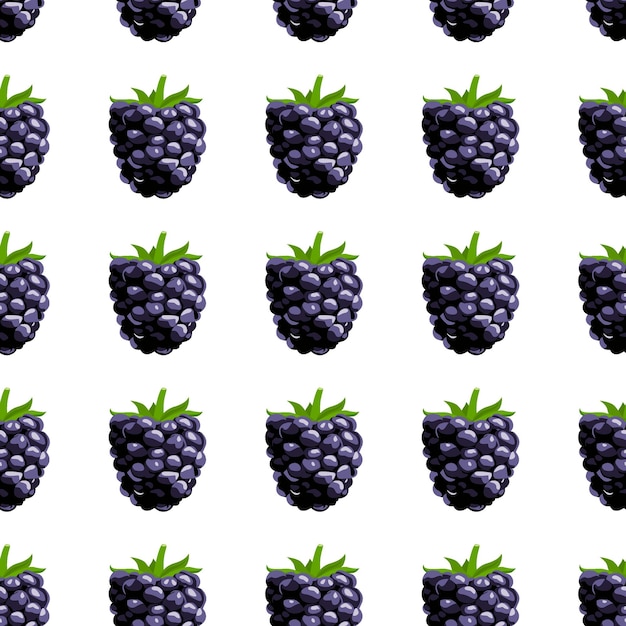 Rasberry seamless pattern vector background.