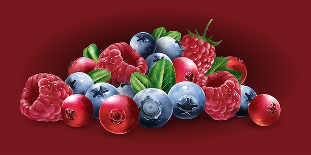 Raspberries, cranberries, blueberries and strawberries