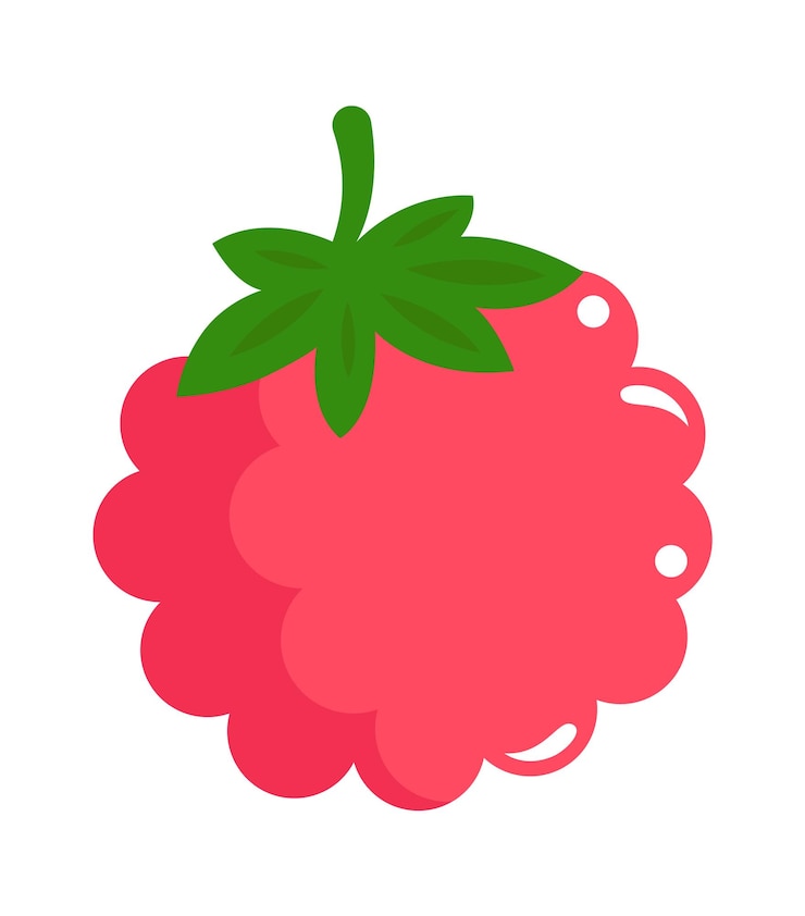 Vector raspberries fruit healthy food vector illustration