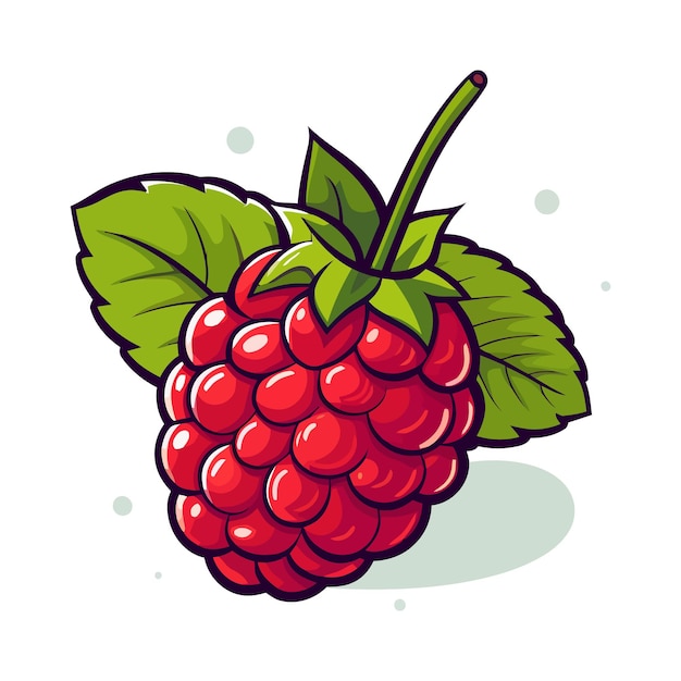 Raspberries image cute image of an isolated raspberries vector illustration