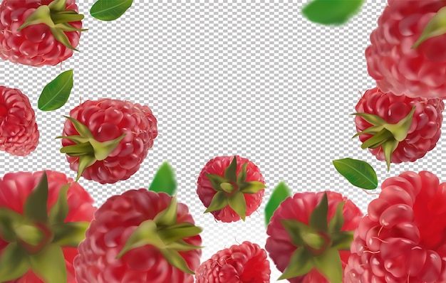 raspberry background. flying raspberry with green leaf. raspberry falling from different angles. motion raspberry fruits are whole.vector illustration