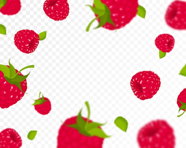 Vector raspberry background flying raspberry with green leaf on transparent background raspberry falling from different angles focused and blurry objects flat cartoon vector