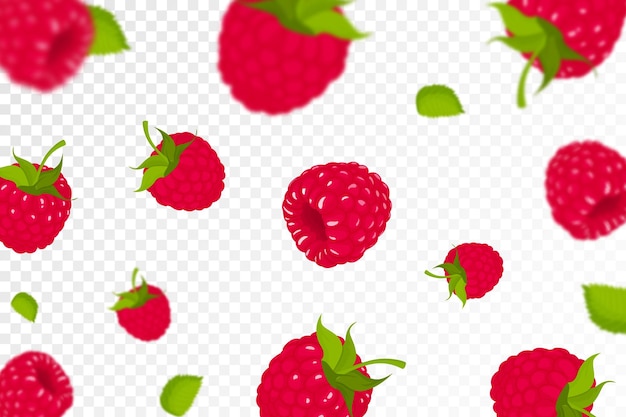 Raspberry background flying raspberry with green leaf on transparent background raspberry falling from different angles focused and blurry objects flat cartoon vector