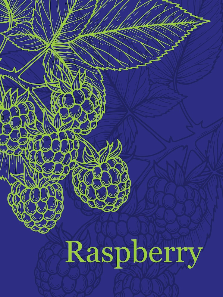 Vector raspberry banner design neon green line art on blue backgroun