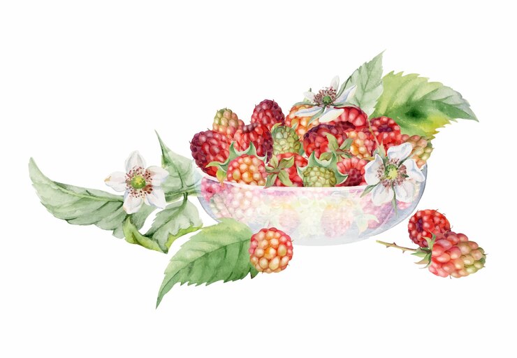 Vector raspberry berries leaves flowers served in glass bowl ripe picked garden dewberry cloudberry