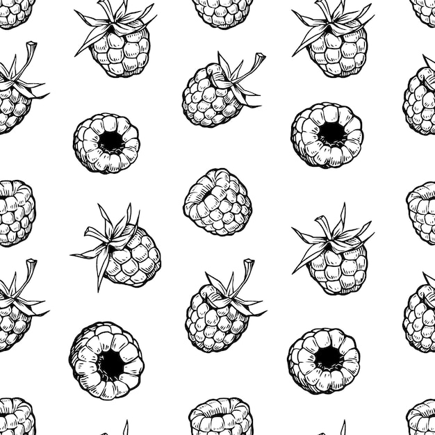 ラズベリー ベリーの葉イラスト ベクトル シームレス パターン デザイン彫刻スタイル花要素の布の壁紙