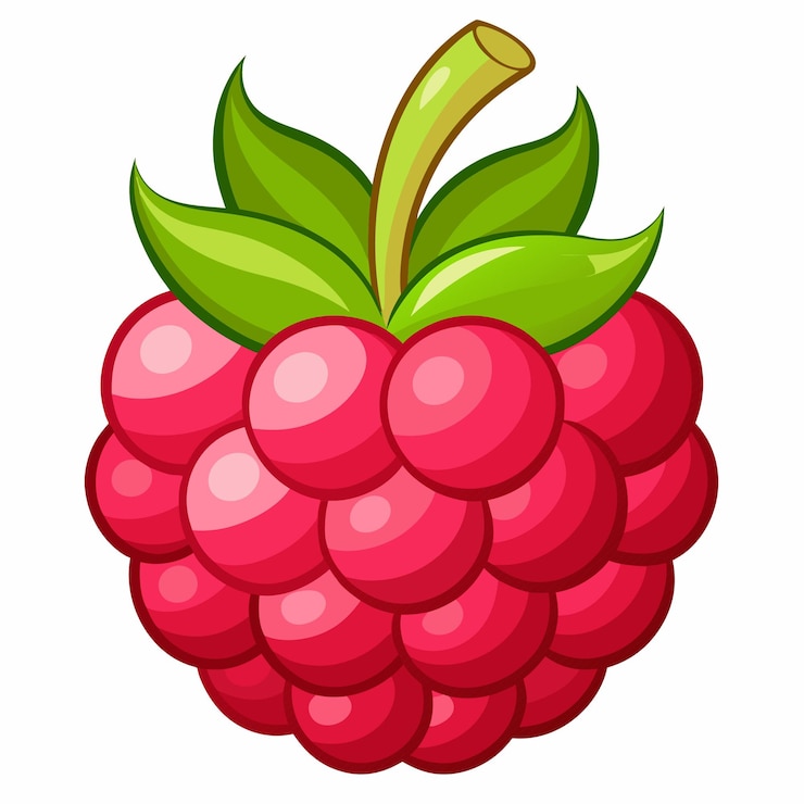 Vector raspberry clipart cartoon style vector illustration